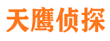 民权市侦探公司